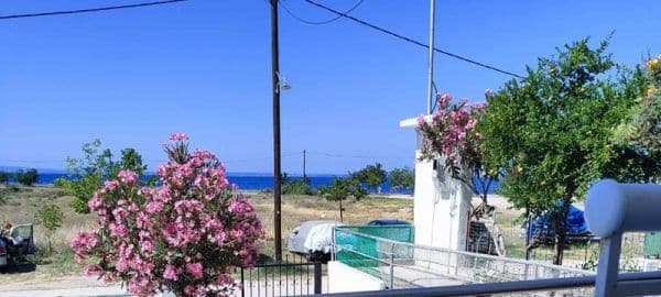 Вила Pascalia - Псакудија